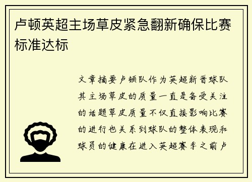 卢顿英超主场草皮紧急翻新确保比赛标准达标